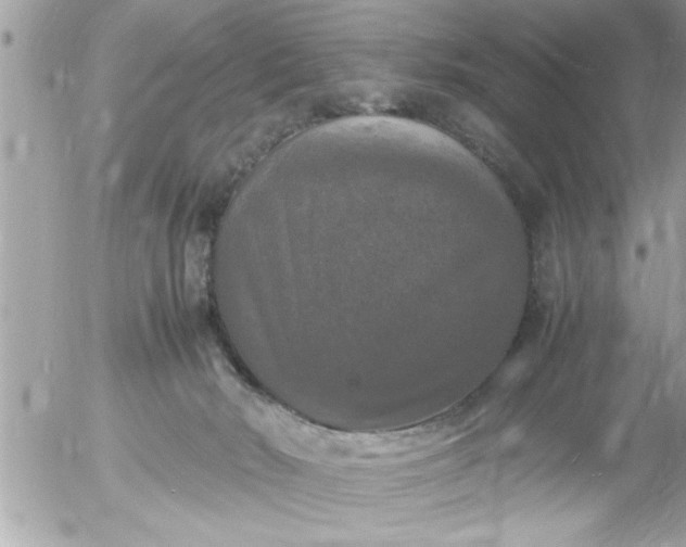 X0000055510030200508262151