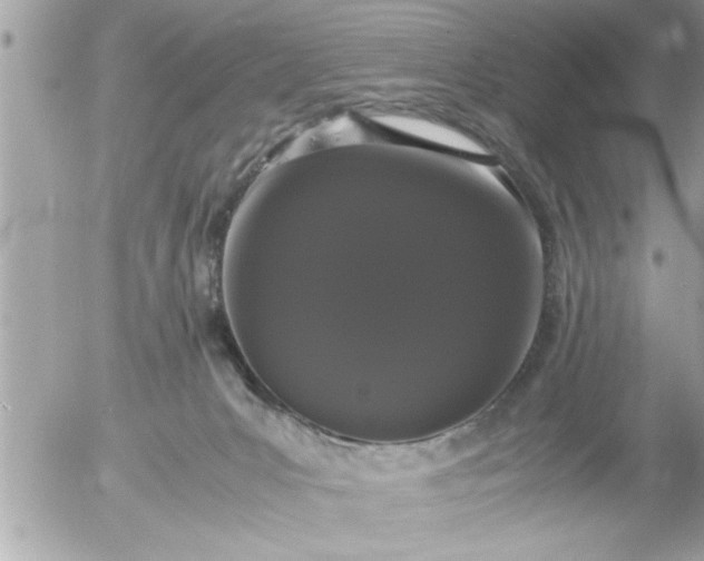 X0000055510031200508262151