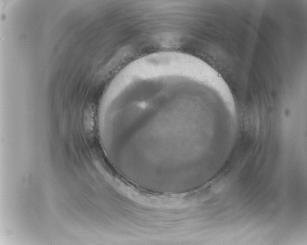 X0000055510032200508262151