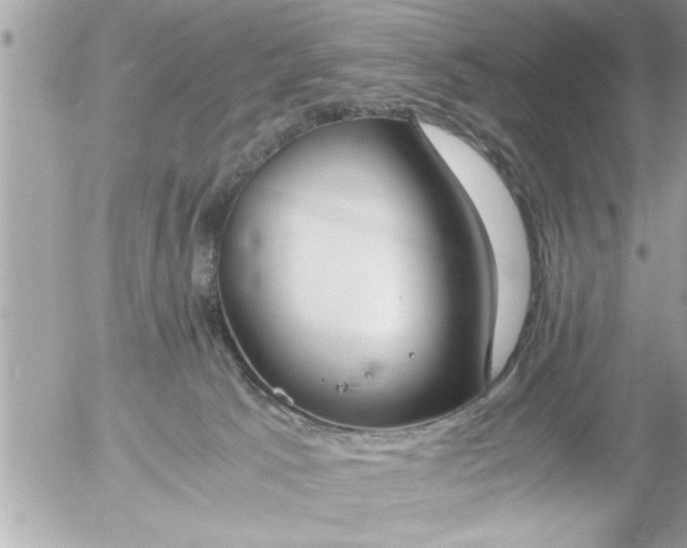 X0000055510033200508262151