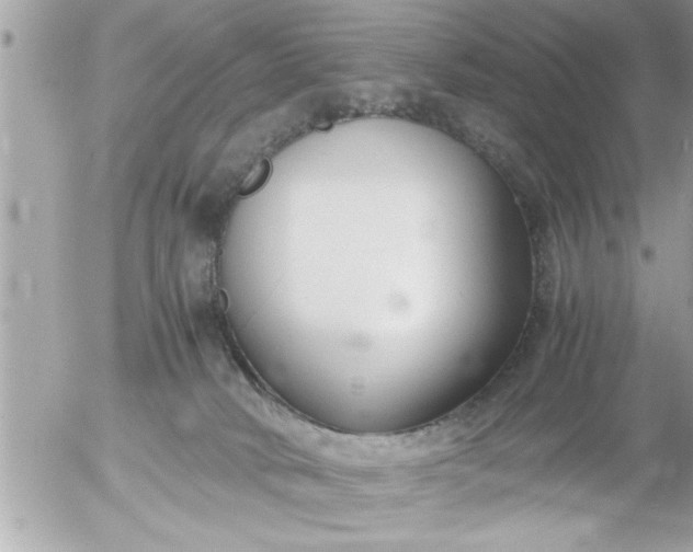 X0000055510034200508262151