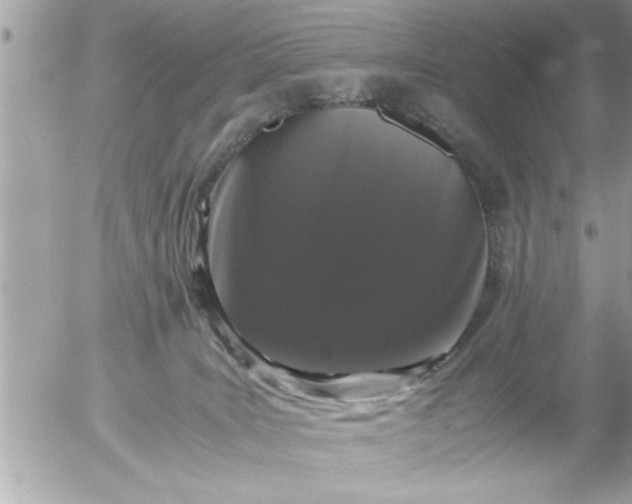 X0000055510035200508262151