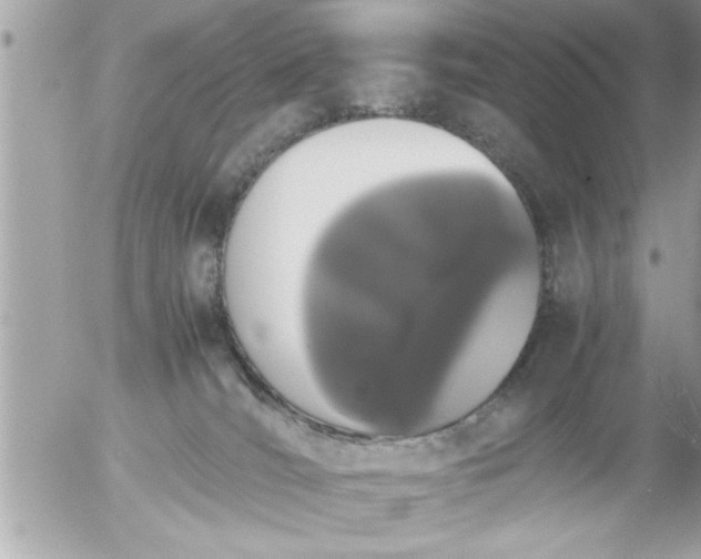 X0000055510036200508262151