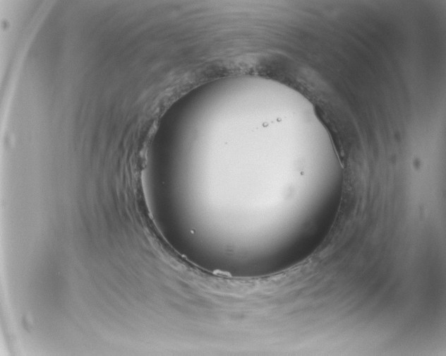 X0000055510037200508262151