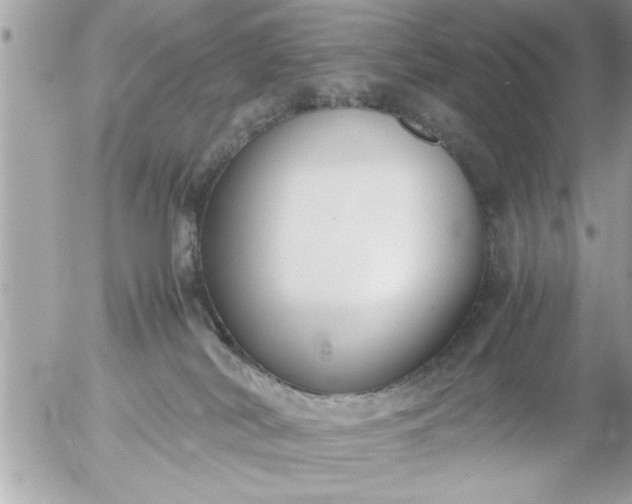 X0000055510038200508262151