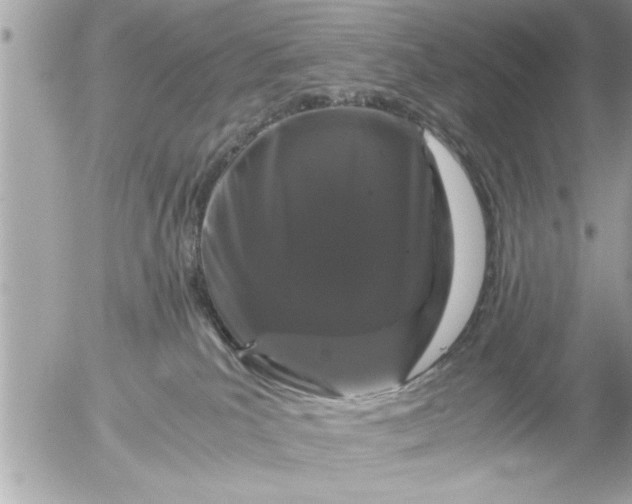 X0000055510039200508262151