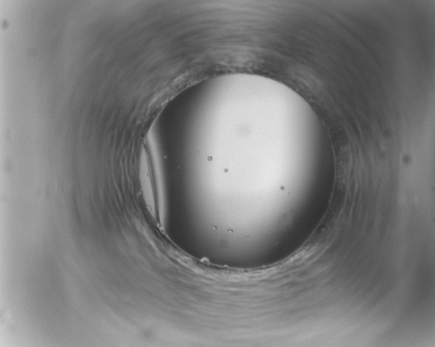 X0000055510040200508262151