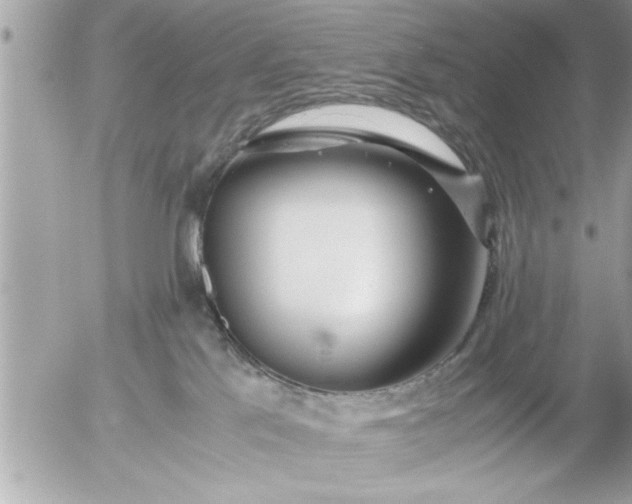 X0000055510041200508262151