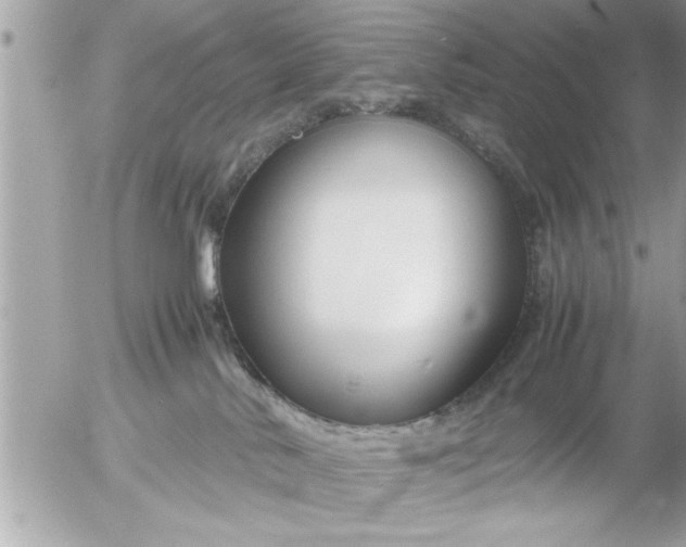 X0000055510042200508262151