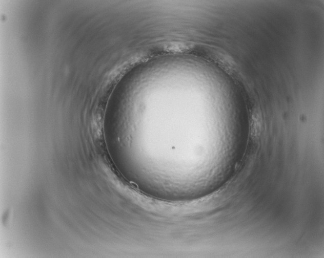 X0000055510043200508262151