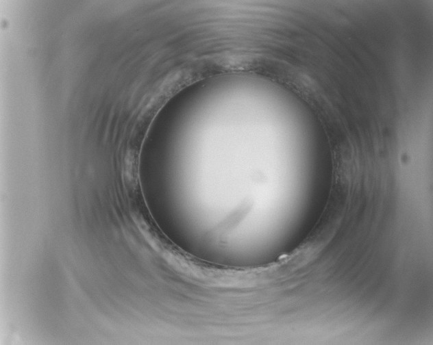 X0000055510044200508262151