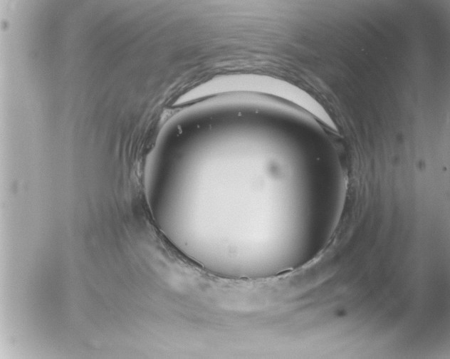 X0000055510045200508262151