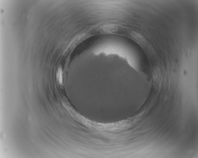 X0000055510046200508262151