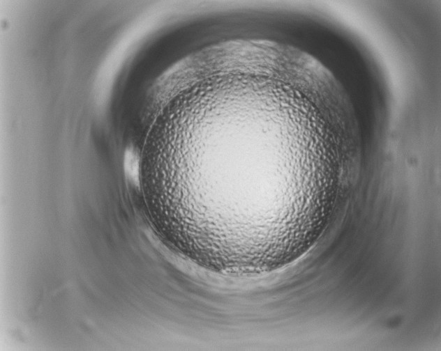 X0000055510047200508262151