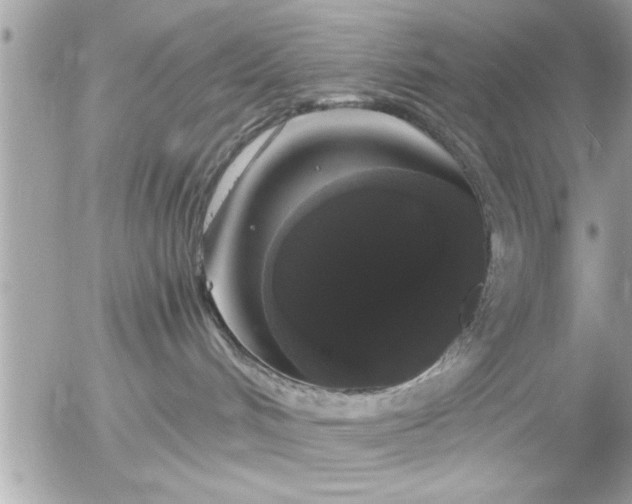 X0000055510048200508262151