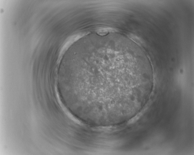 X0000055510049200508262150