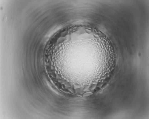 X0000055510050200508262150