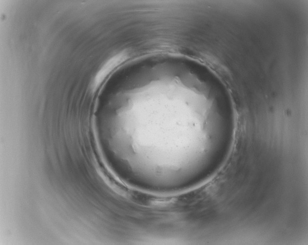 X0000055510051200508262150