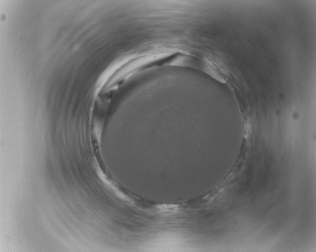 X0000055510052200508262150