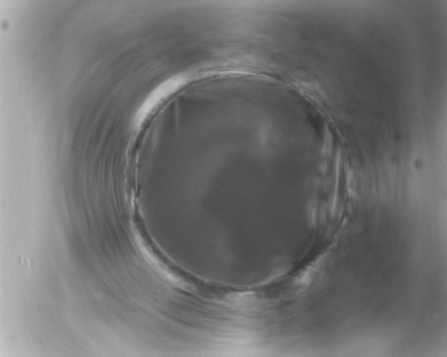 X0000055510054200508262150