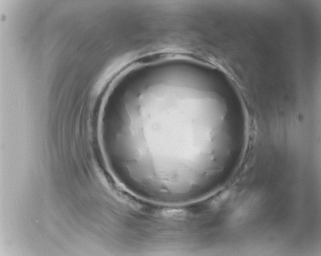 X0000055510055200508262150