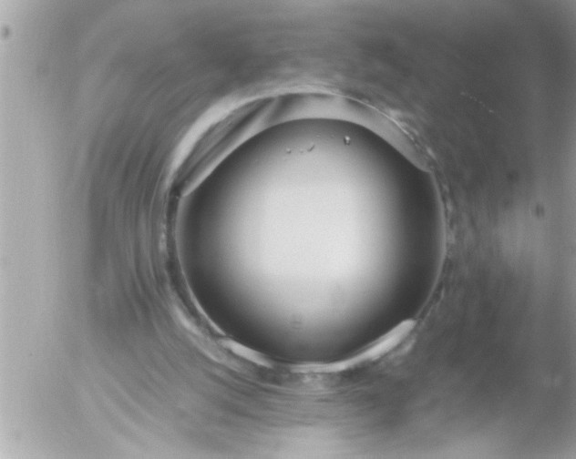 X0000055510056200508262150