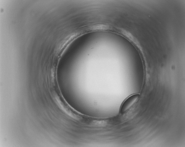 X0000055510057200508262151