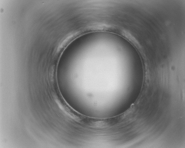 X0000055510058200508262151