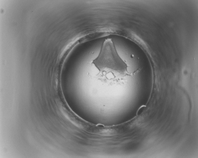 X0000055510059200508262151