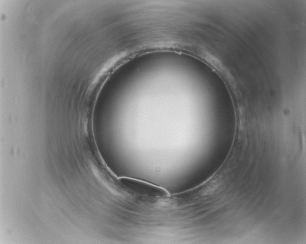 X0000055510060200508262151