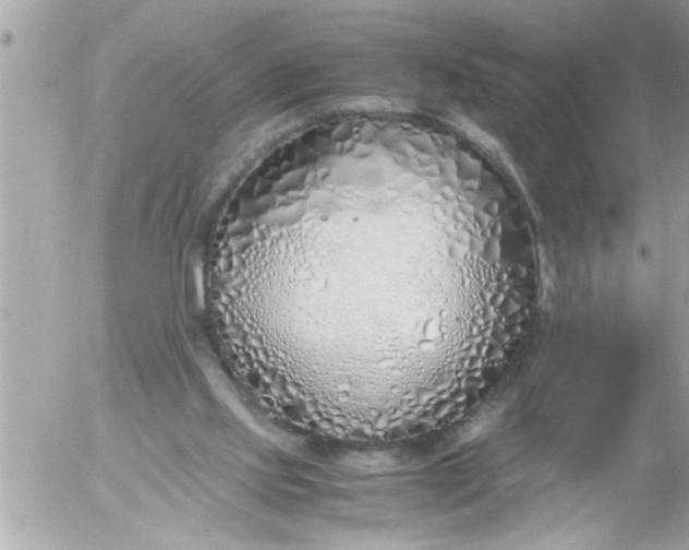 X0000055510061200508262151