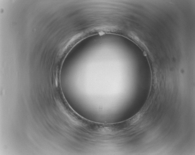 X0000055510062200508262151