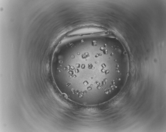 X0000055510063200508262151