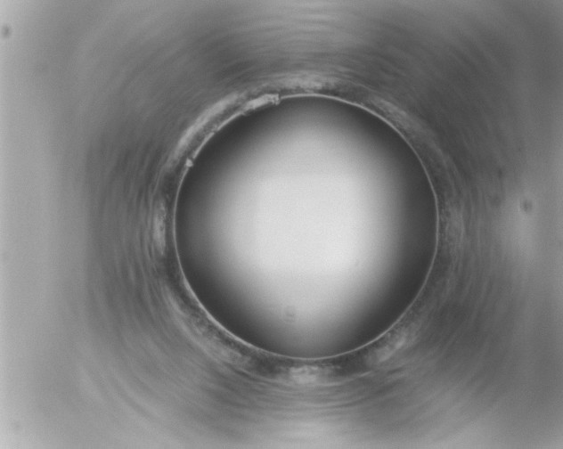 X0000055510064200508262151