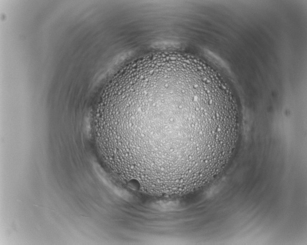 X0000055510065200508262151