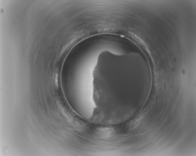 X0000055510067200508262151