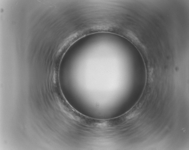 X0000055510068200508262151