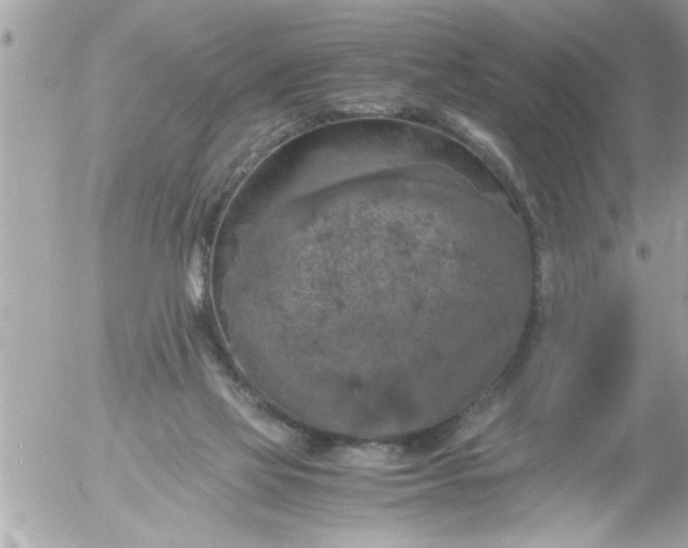 X0000055510069200508262151