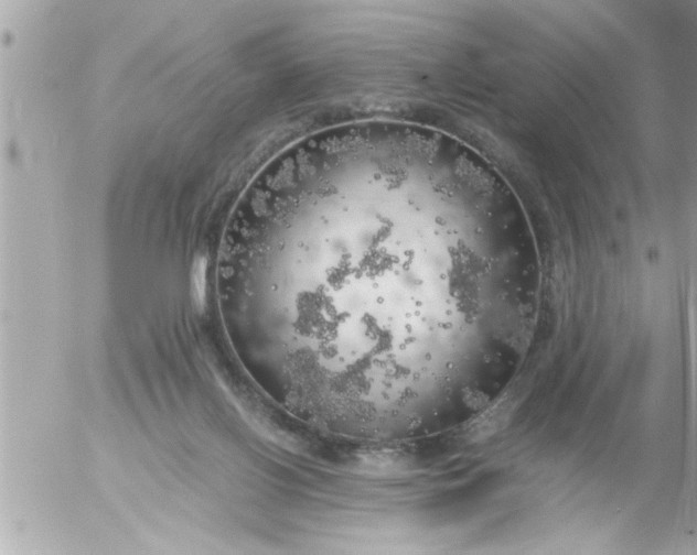 X0000055510070200508262151