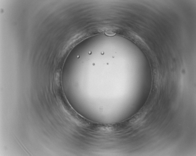 X0000055510071200508262151