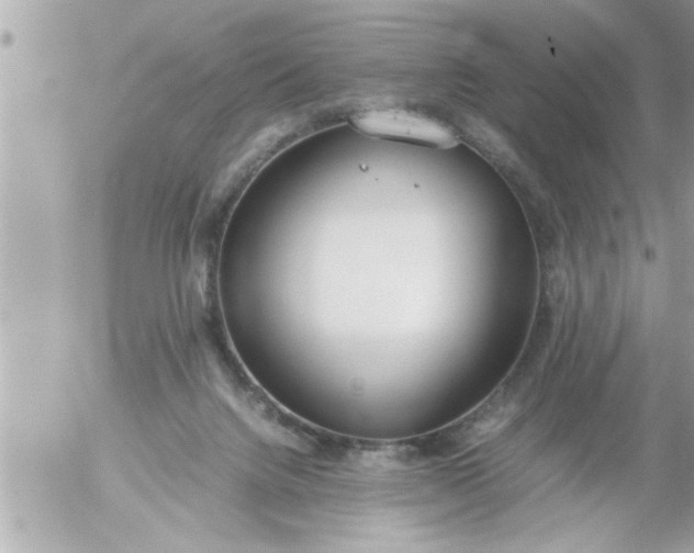 X0000055510072200508262151