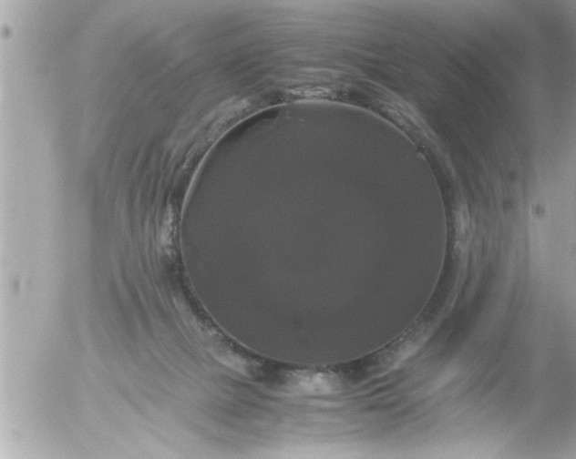 X0000055510073200508262151