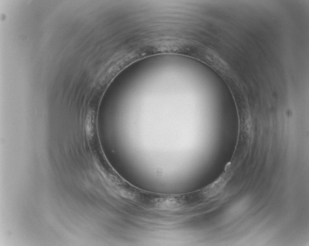 X0000055510074200508262151