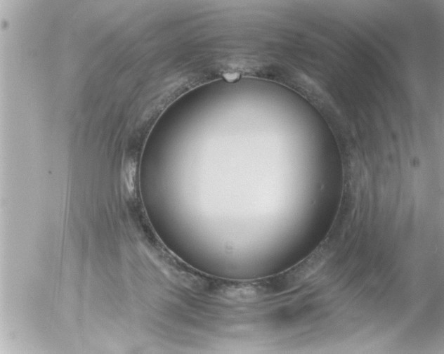 X0000055510075200508262151