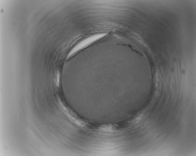 X0000055510076200508262151