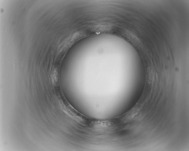 X0000055510077200508262151