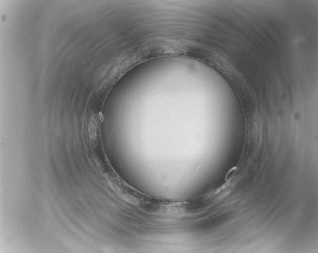 X0000055510078200508262151