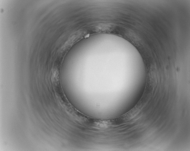 X0000055510079200508262151