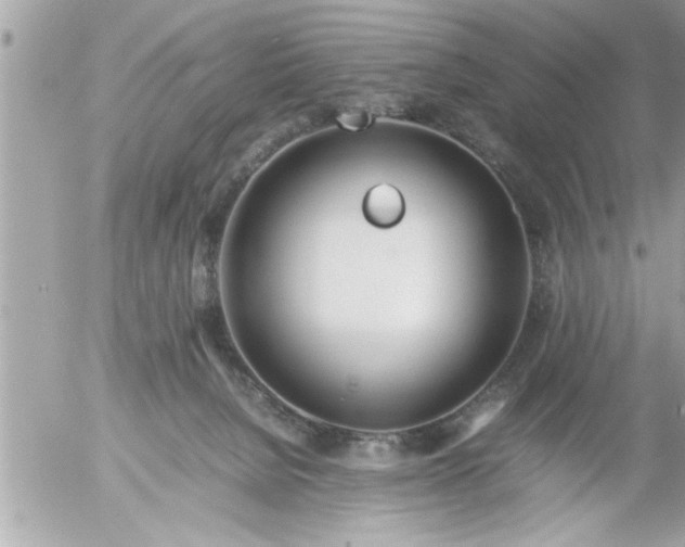 X0000055510080200508262151