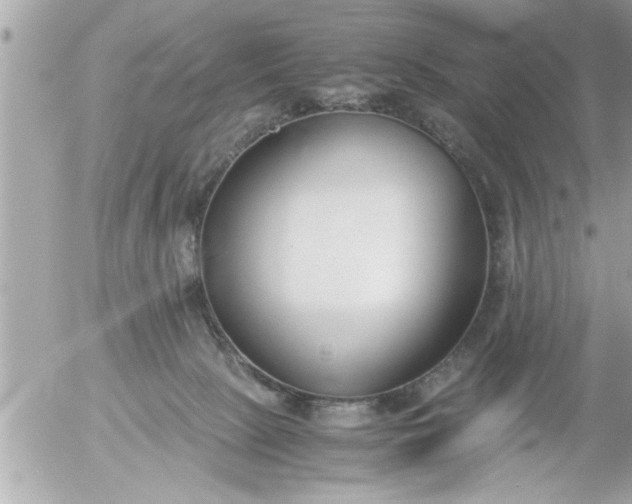 X0000055510081200508262151